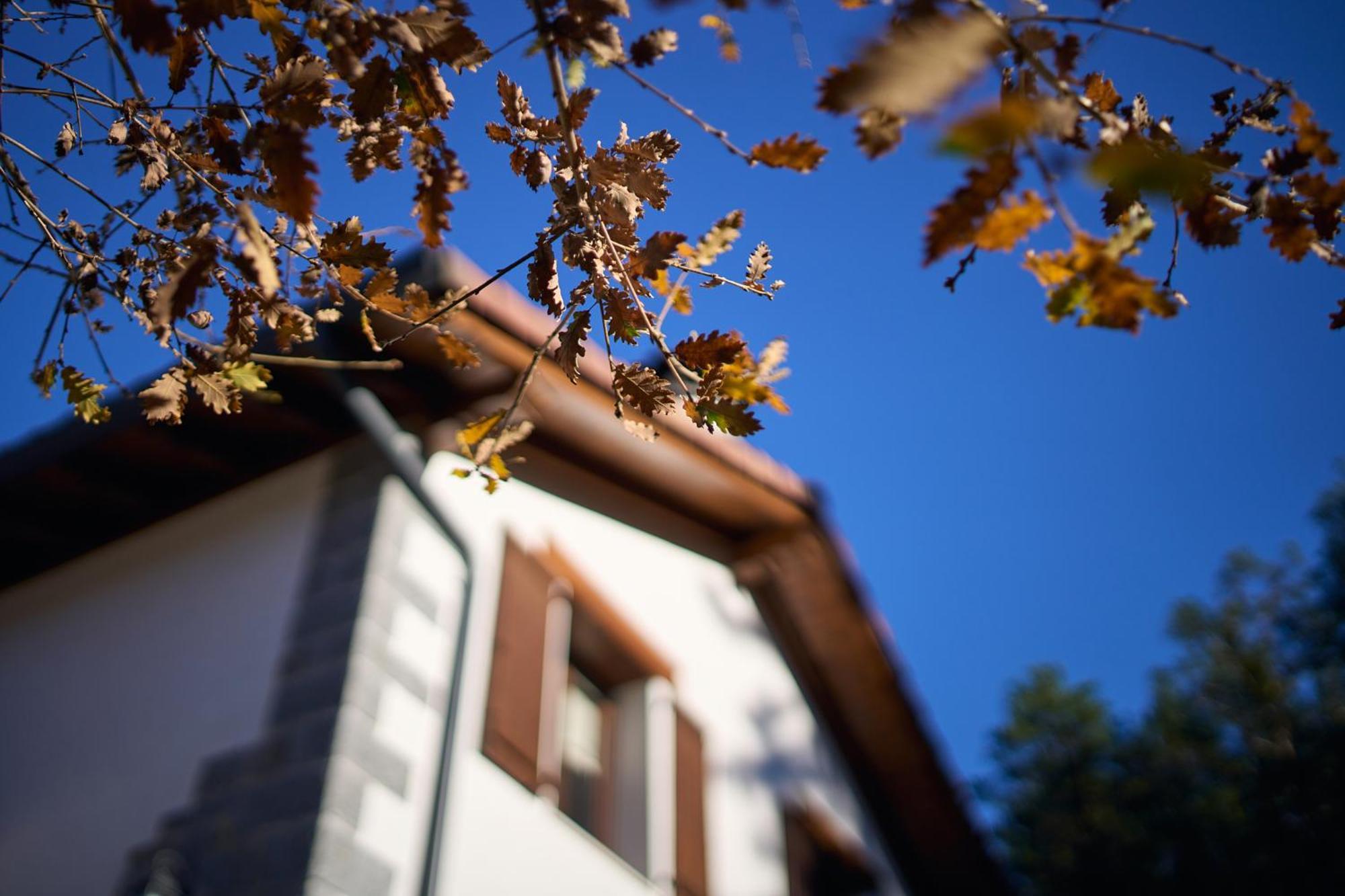 Arpetxea Casa Rural รอนกาล ภายนอก รูปภาพ